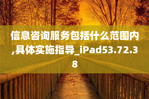 信息咨询服务包括什么范围内,具体实施指导_iPad53.72.38