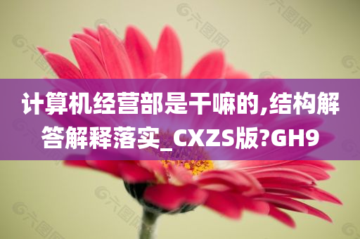 计算机经营部是干嘛的,结构解答解释落实_CXZS版?GH9