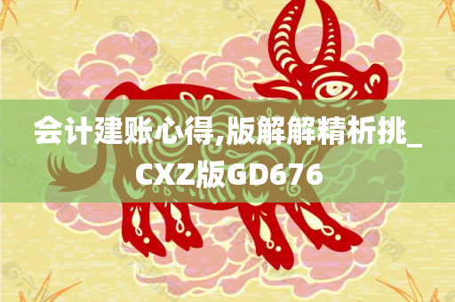 会计建账心得,版解解精析挑_CXZ版GD676