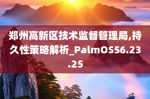 郑州高新区技术监督管理局,持久性策略解析_PalmOS56.23.25