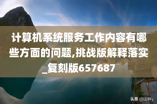 计算机系统服务工作内容有哪些方面的问题,挑战版解释落实_复刻版657687