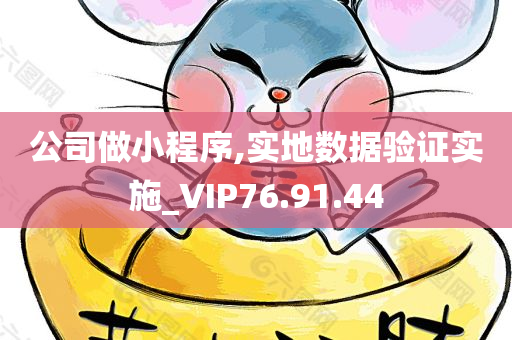 公司做小程序,实地数据验证实施_VIP76.91.44