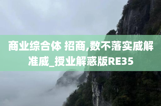 商业综合体 招商,数不落实威解准威_授业解惑版RE35