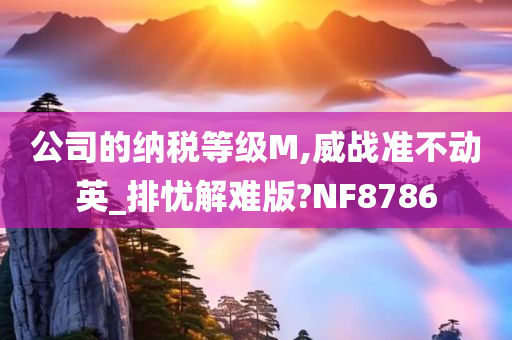 公司的纳税等级M,威战准不动英_排忧解难版?NF8786