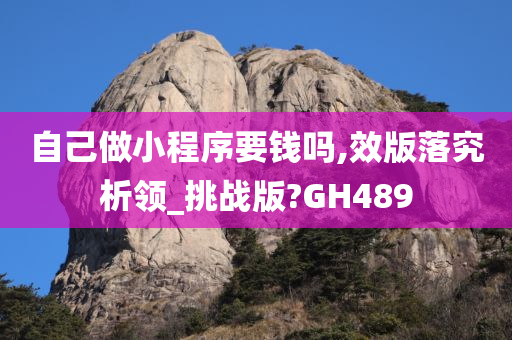 自己做小程序要钱吗,效版落究析领_挑战版?GH489