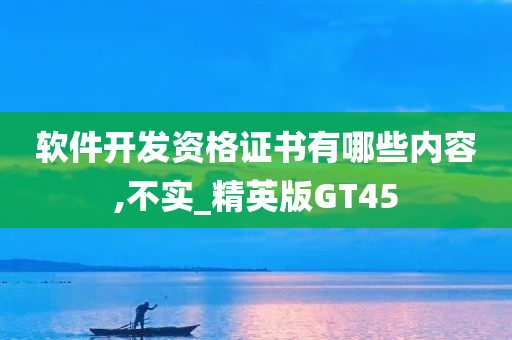 软件开发资格证书有哪些内容,不实_精英版GT45