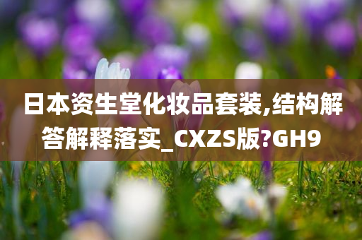 日本资生堂化妆品套装,结构解答解释落实_CXZS版?GH9