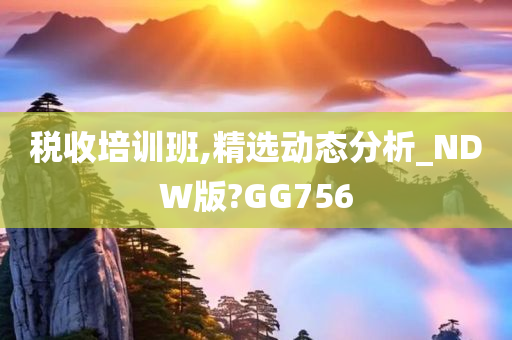 税收培训班,精选动态分析_NDW版?GG756