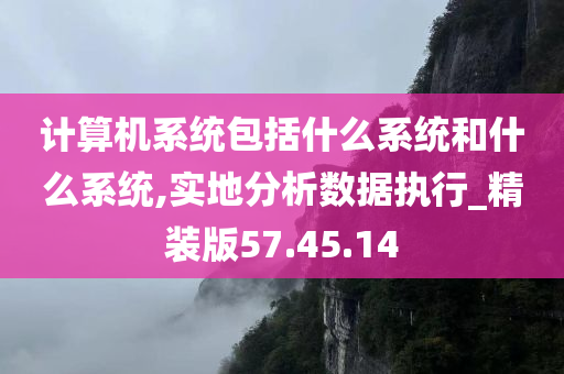 计算机系统包括什么系统和什么系统,实地分析数据执行_精装版57.45.14