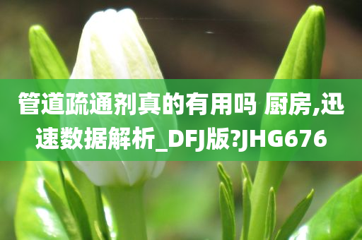 管道疏通剂真的有用吗 厨房,迅速数据解析_DFJ版?JHG676