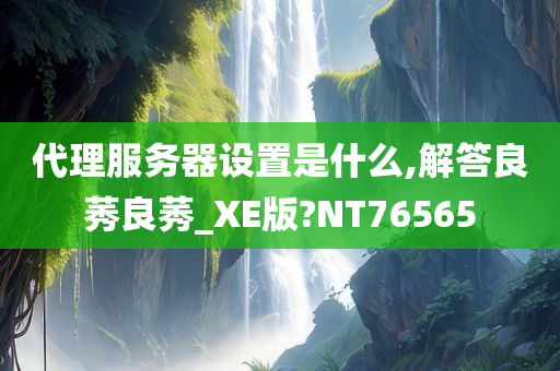 代理服务器设置是什么,解答良莠良莠_XE版?NT76565