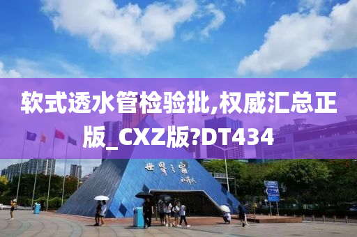 软式透水管检验批,权威汇总正版_CXZ版?DT434