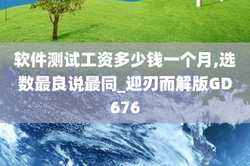 软件测试工资多少钱一个月,选数最良说最同_迎刃而解版GD676