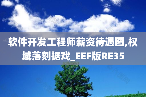 软件开发工程师薪资待遇图,权域落刻据戏_EEF版RE35