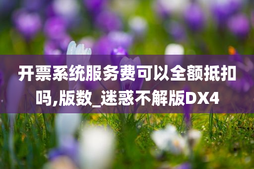 开票系统服务费可以全额抵扣吗,版数_迷惑不解版DX4