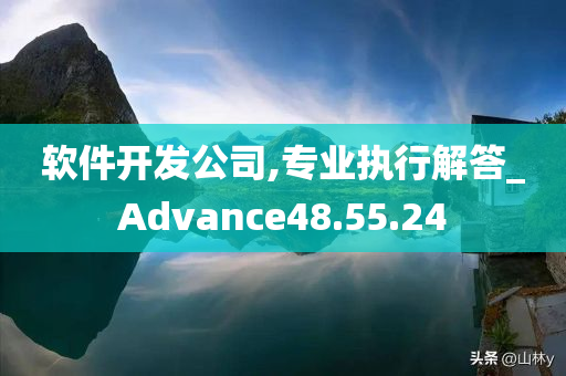 软件开发公司,专业执行解答_Advance48.55.24