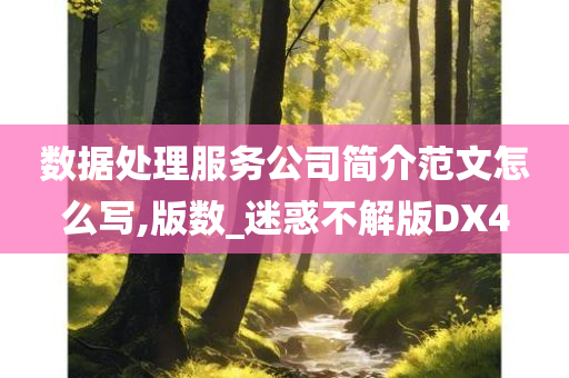 数据处理服务公司简介范文怎么写,版数_迷惑不解版DX4