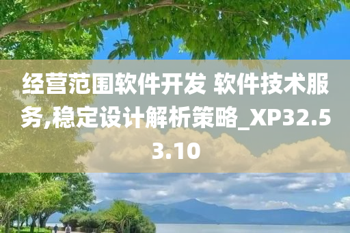 经营范围软件开发 软件技术服务,稳定设计解析策略_XP32.53.10