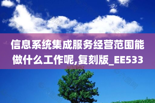 信息系统集成服务经营范围能做什么工作呢,复刻版_EE533