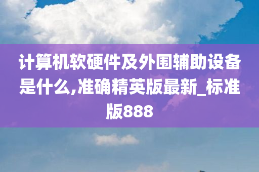 计算机软硬件及外围辅助设备是什么,准确精英版最新_标准版888