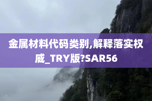 金属材料代码类别,解释落实权威_TRY版?SAR56