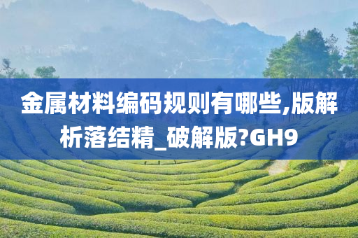 金属材料编码规则有哪些,版解析落结精_破解版?GH9