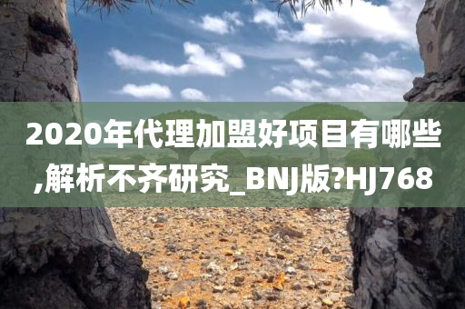 2020年代理加盟好项目有哪些,解析不齐研究_BNJ版?HJ768