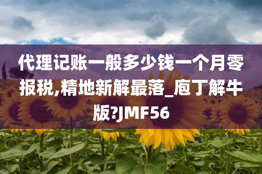 代理记账一般多少钱一个月零报税,精地新解最落_庖丁解牛版?JMF56