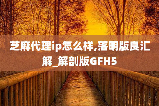 芝麻代理ip怎么样,落明版良汇解_解剖版GFH5