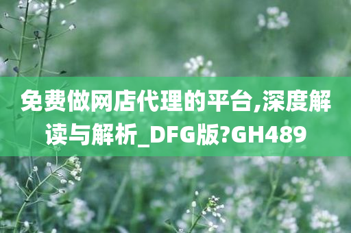 免费做网店代理的平台,深度解读与解析_DFG版?GH489