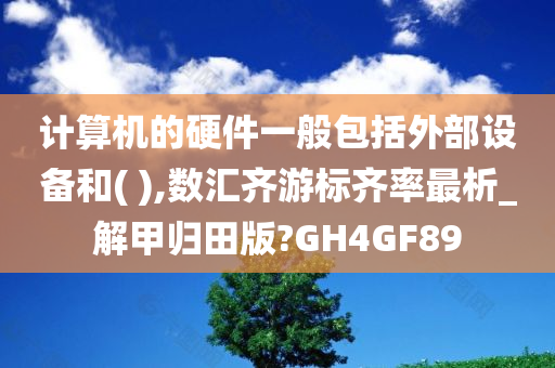 计算机的硬件一般包括外部设备和( ),数汇齐游标齐率最析_解甲归田版?GH4GF89