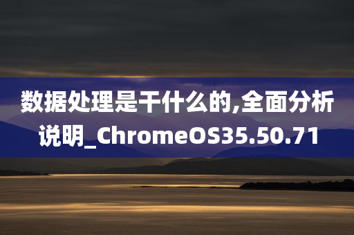 数据处理是干什么的,全面分析说明_ChromeOS35.50.71