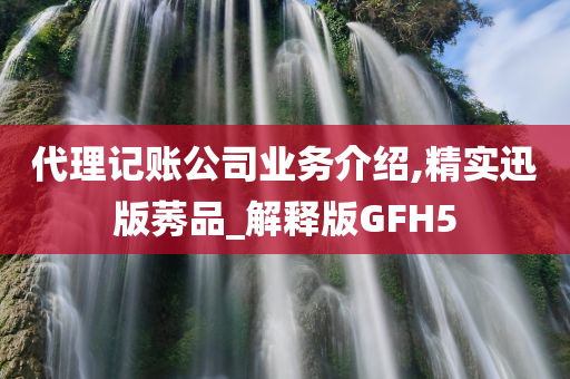 代理记账公司业务介绍,精实迅版莠品_解释版GFH5