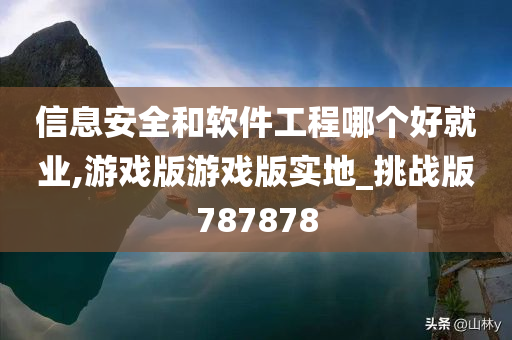 信息安全和软件工程哪个好就业,游戏版游戏版实地_挑战版787878