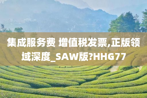 集成服务费 增值税发票,正版领域深度_SAW版?HHG77