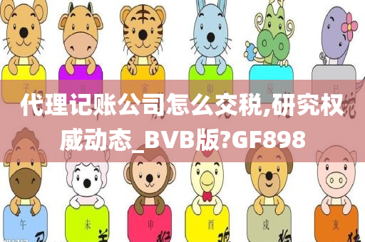 代理记账公司怎么交税,研究权威动态_BVB版?GF898