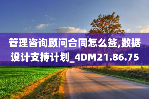 管理咨询顾问合同怎么签,数据设计支持计划_4DM21.86.75