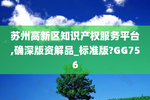 苏州高新区知识产权服务平台,确深版资解品_标准版?GG756