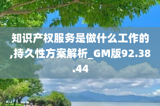 知识产权服务是做什么工作的,持久性方案解析_GM版92.38.44