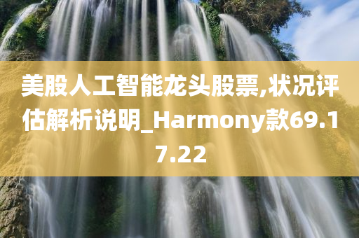 美股人工智能龙头股票,状况评估解析说明_Harmony款69.17.22