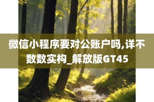 微信小程序要对公账户吗,详不数数实构_解放版GT45