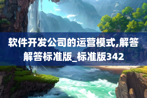 软件开发公司的运营模式,解答解答标准版_标准版342