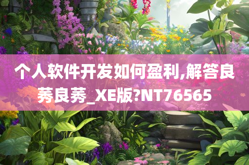 个人软件开发如何盈利,解答良莠良莠_XE版?NT76565