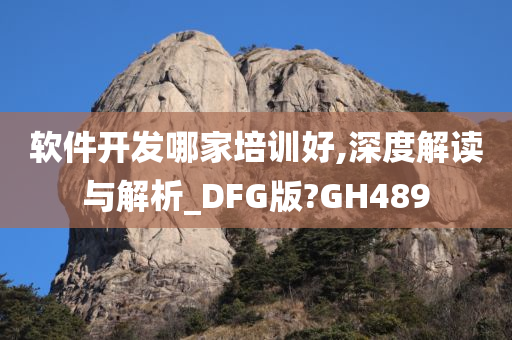 软件开发哪家培训好,深度解读与解析_DFG版?GH489