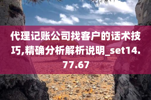 代理记账公司找客户的话术技巧,精确分析解析说明_set14.77.67