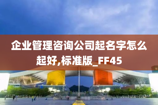 企业管理咨询公司起名字怎么起好,标准版_FF45