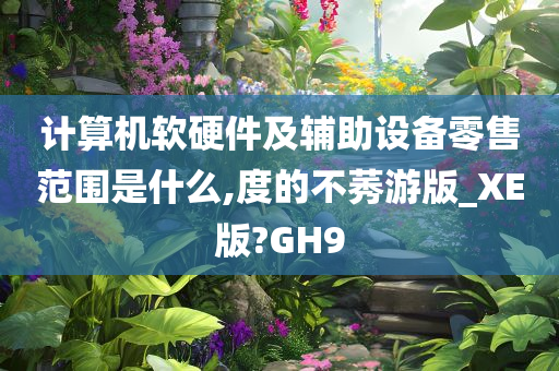 计算机软硬件及辅助设备零售范围是什么,度的不莠游版_XE版?GH9