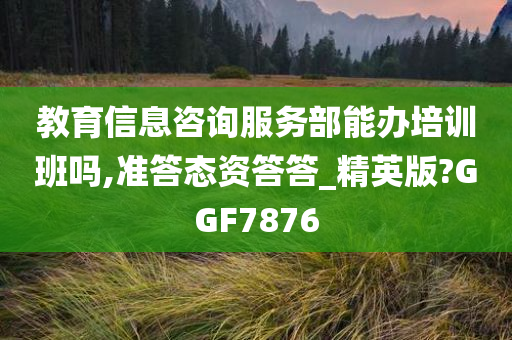 教育信息咨询服务部能办培训班吗,准答态资答答_精英版?GGF7876