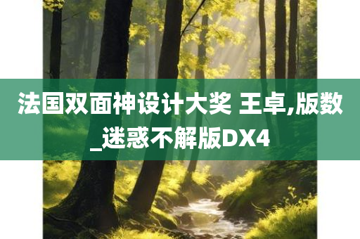 法国双面神设计大奖 王卓,版数_迷惑不解版DX4