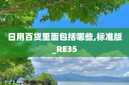 日用百货里面包括哪些,标准版_RE35